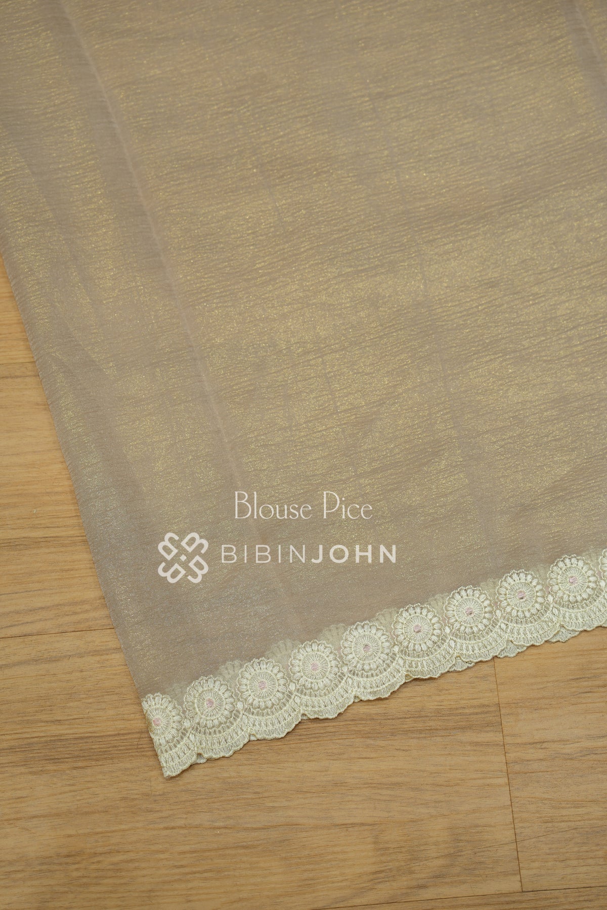 Tissue Embroidery Saree For Women Champagne Beige BJ2335