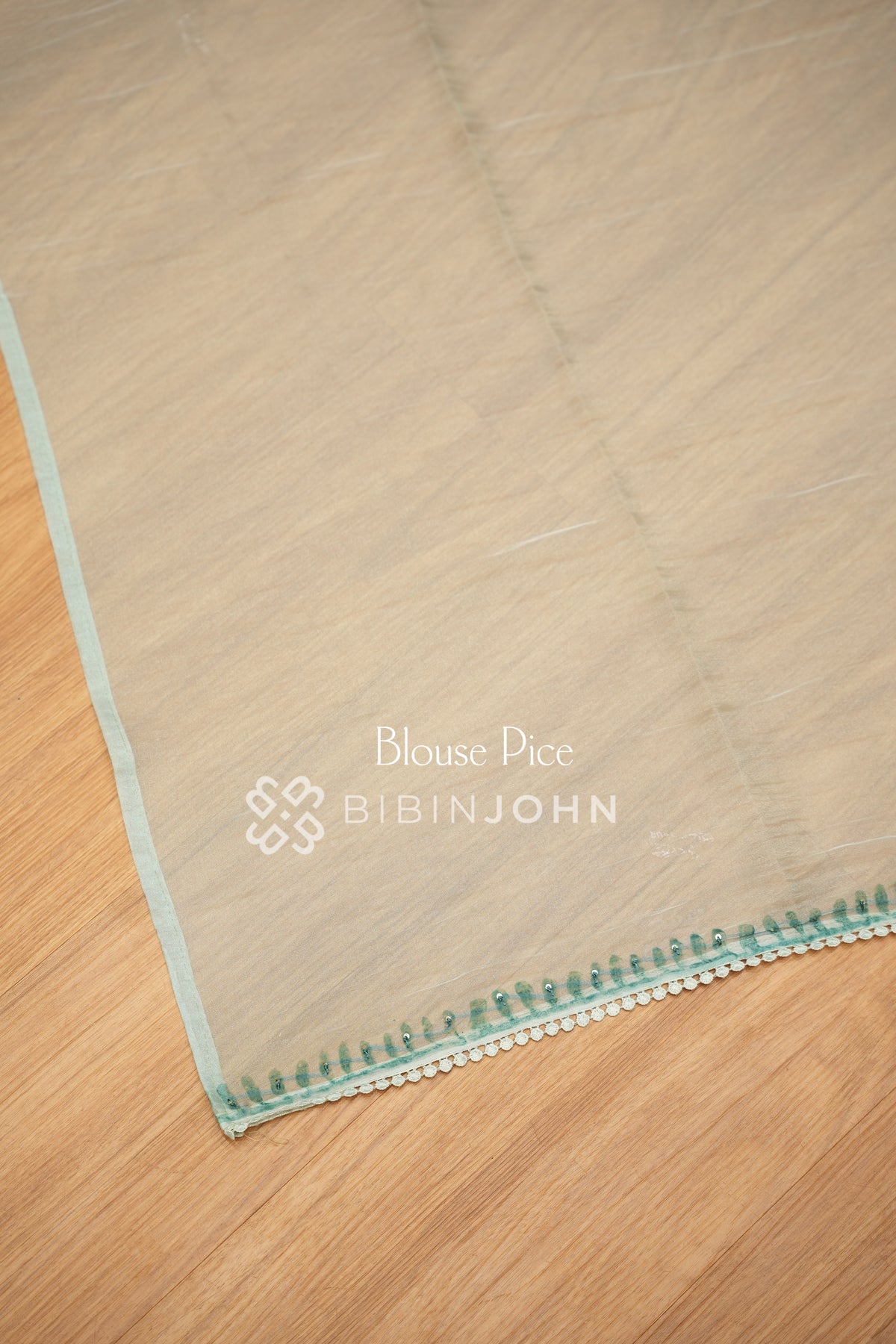 Tissue Embroidery Saree For Women Pastel Mint Green BJ2153