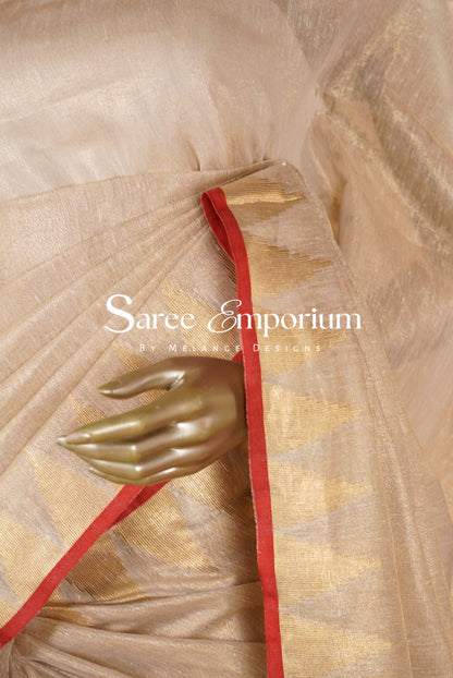 Tissue Linen Embroidery Sarees MDS0080