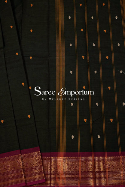 Kanji Cotton Saree For Women MDS0328