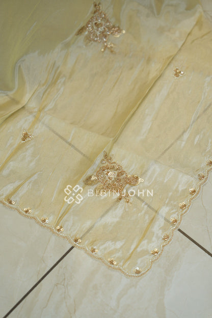 Tissue Embroidery Dupatta For Women Ivory Cream BJ2431