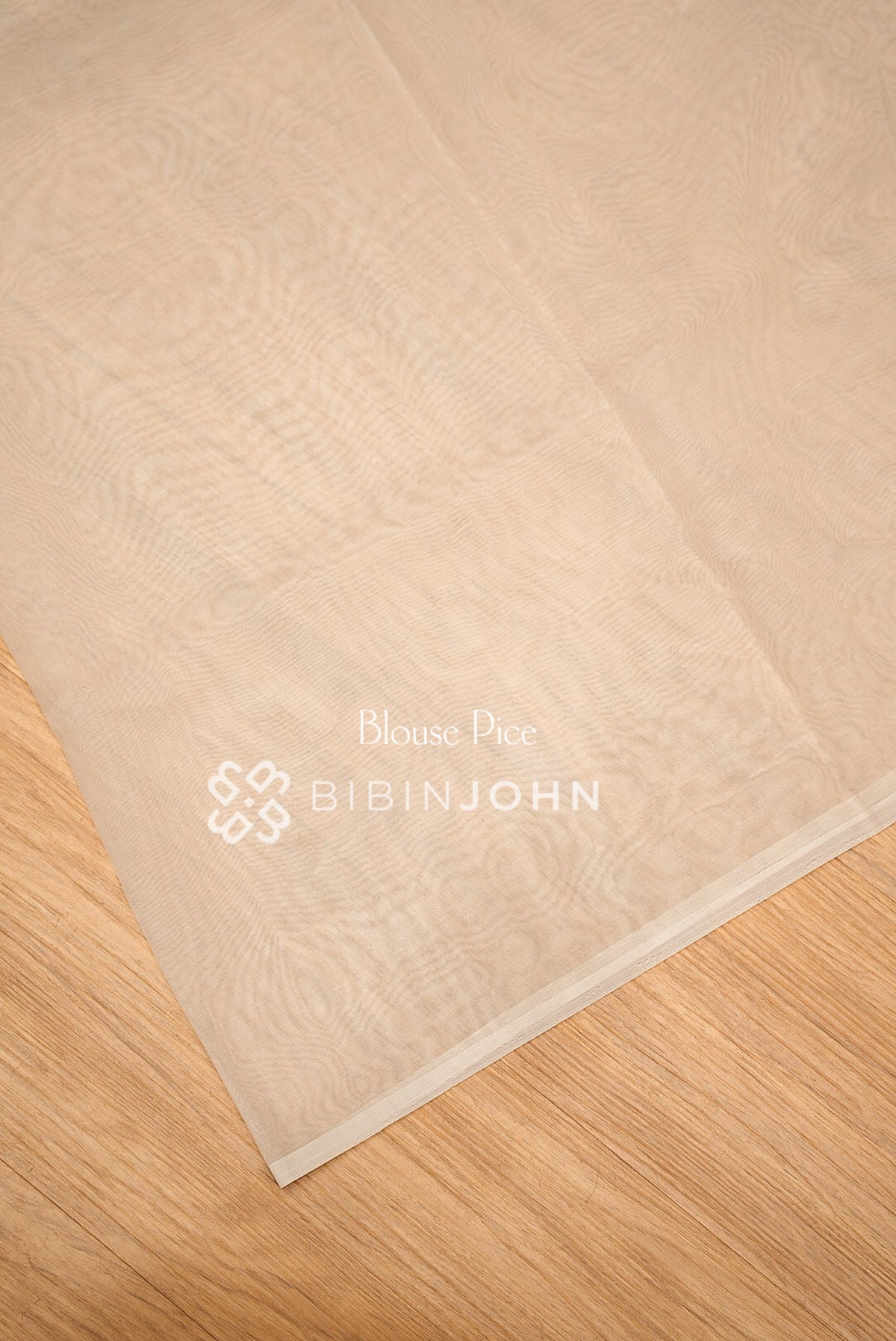 Organza Embroidery Saree Ivory Beige BJ1024