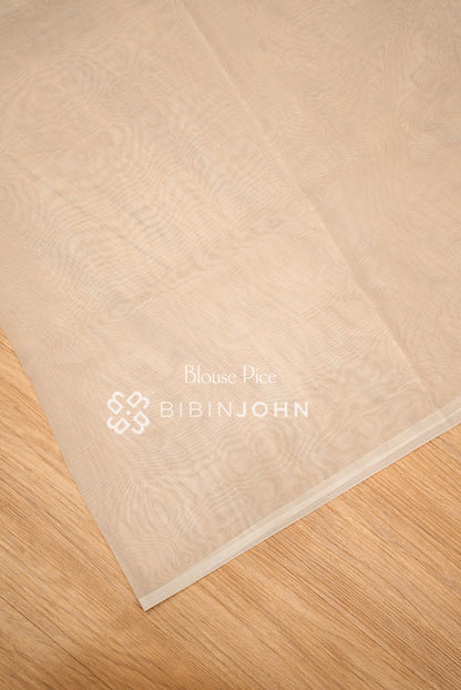 Organza Embroidery Saree Ivory Beige BJ1024