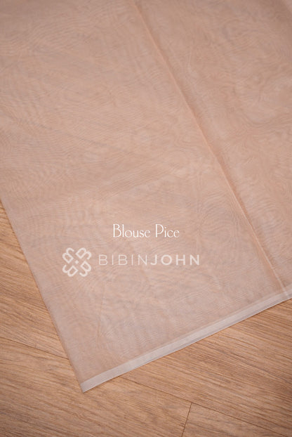 Organza Embroidery Saree Peach-Blush BJ1019