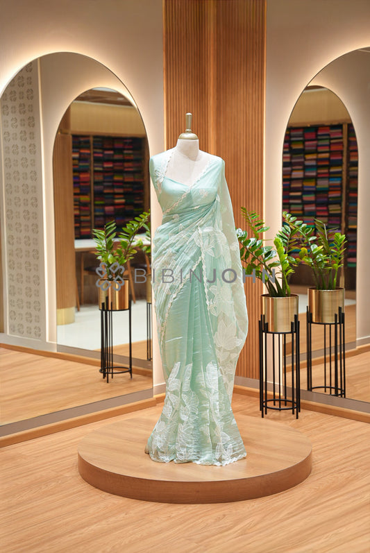 Tissue Organza Applique Saree For Women Mint Green BJ0838