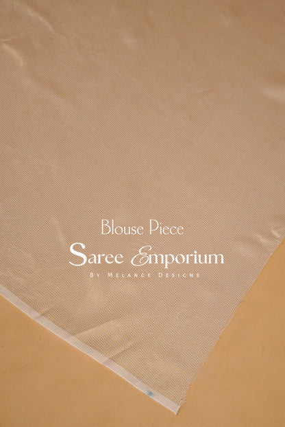 Tissue Embroidery Saree MDS0028