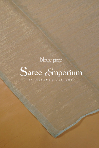 Tissue Embroidery Saree MDS0185
