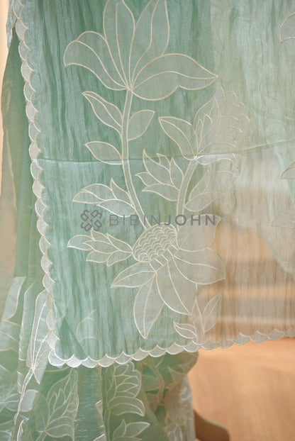 Tissue Organza Applique Saree For Women Mint Green BJ0838