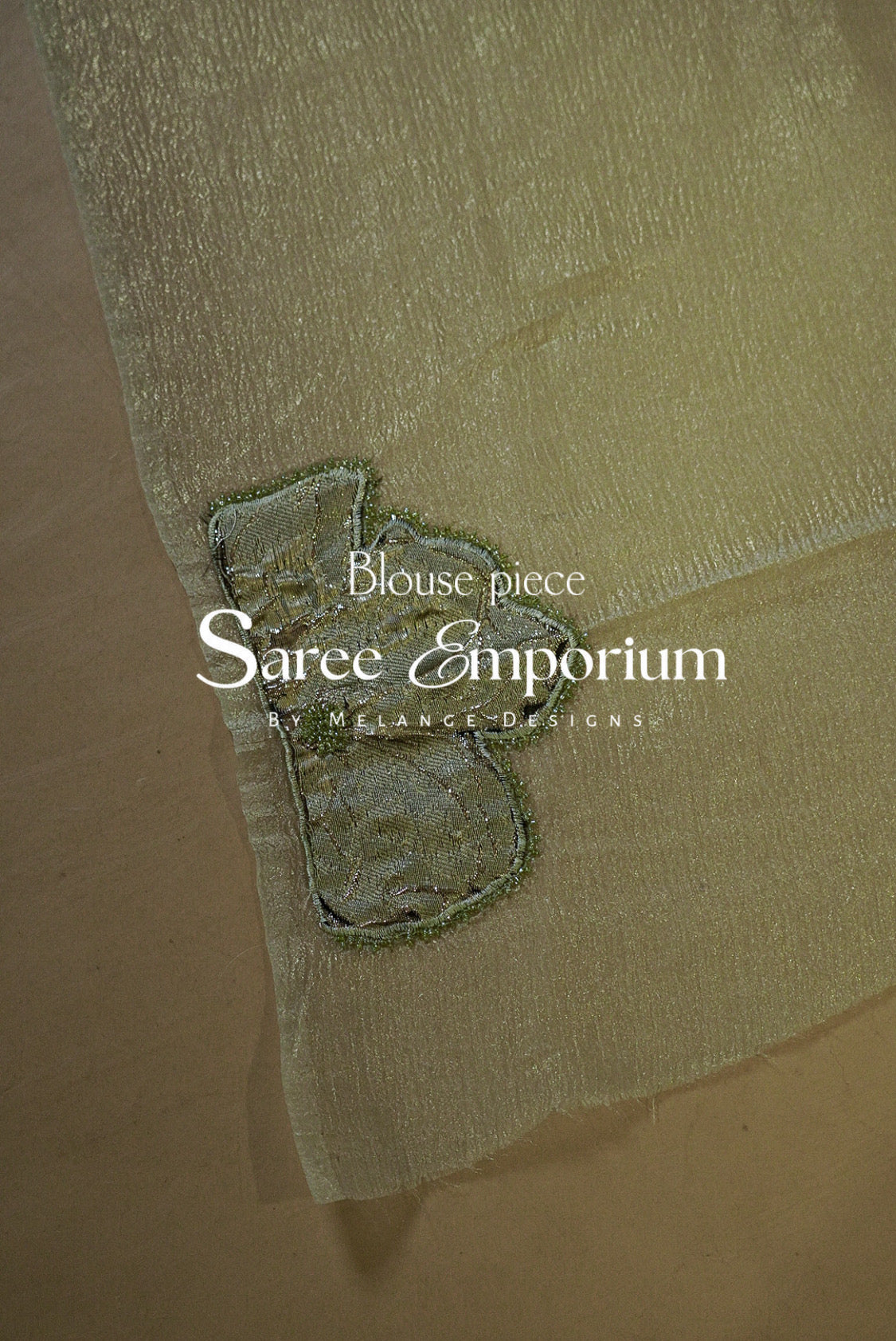 Tissue Applique Saree MDS0143