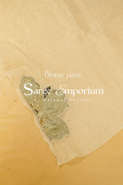 Tissue Applique Saree MDS0141