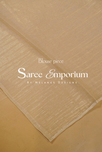 Tissue Embroidery Saree MDS0186