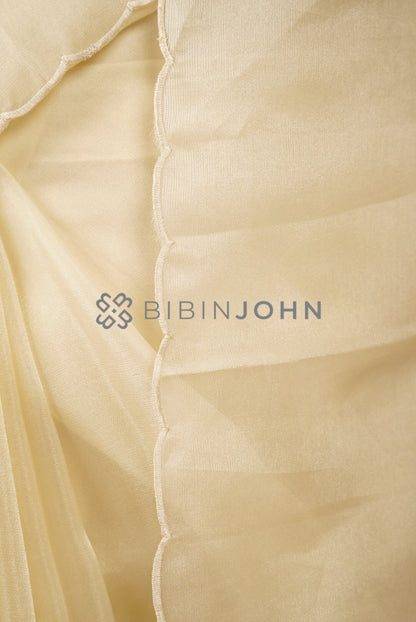 Tissue Organza Embroidery Saree For Women Ivory Cream Side View.