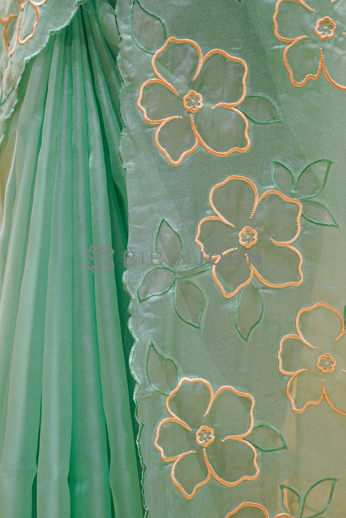 Tissue Organza Embroidery Saree For Women Mint Green SIDE VIEW