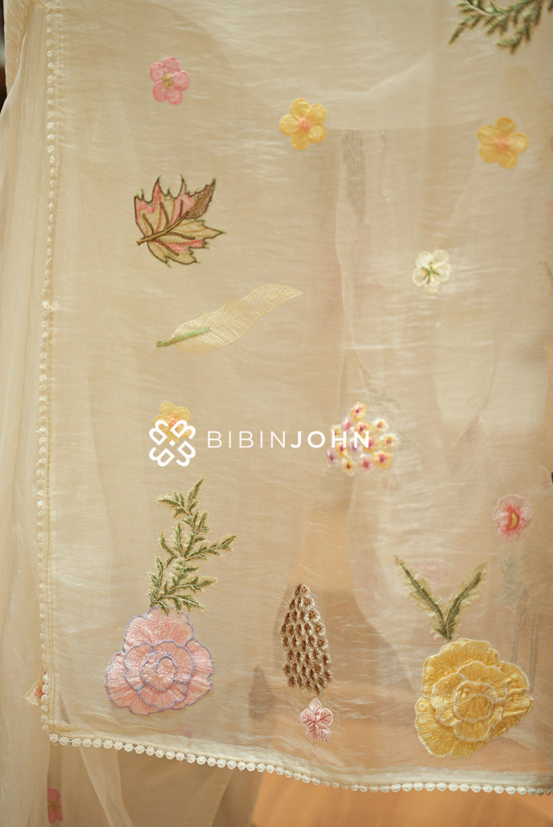 Tissue Organza Embroidery Saree For Women Ivory Cream pallu