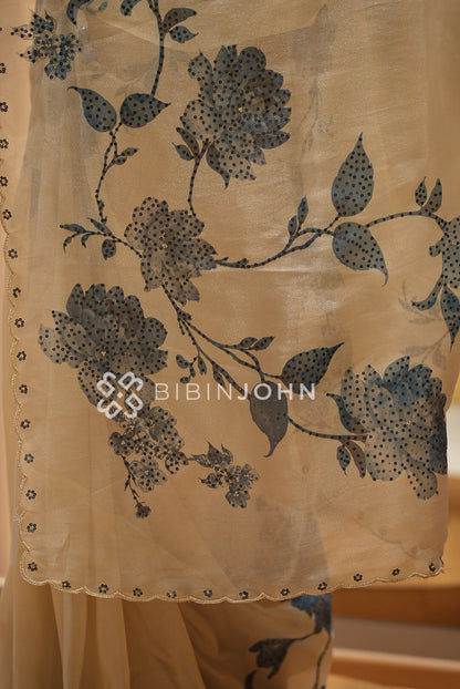 Tissue Organza Embroidery Saree For Women Champagne Beige  PALLU