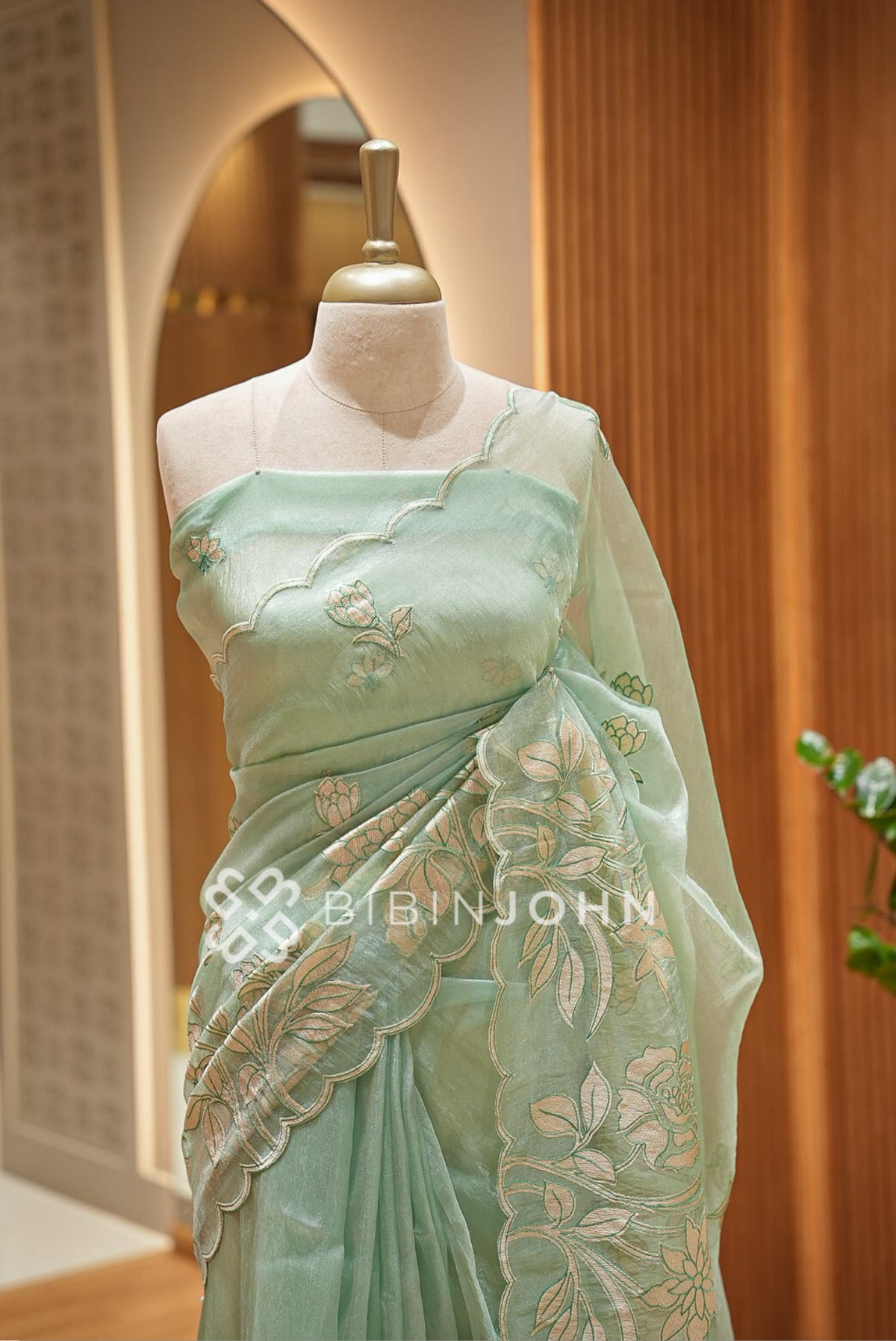 Tissue Organza Applique Saree For Women Mint Green CLOSE VIEW