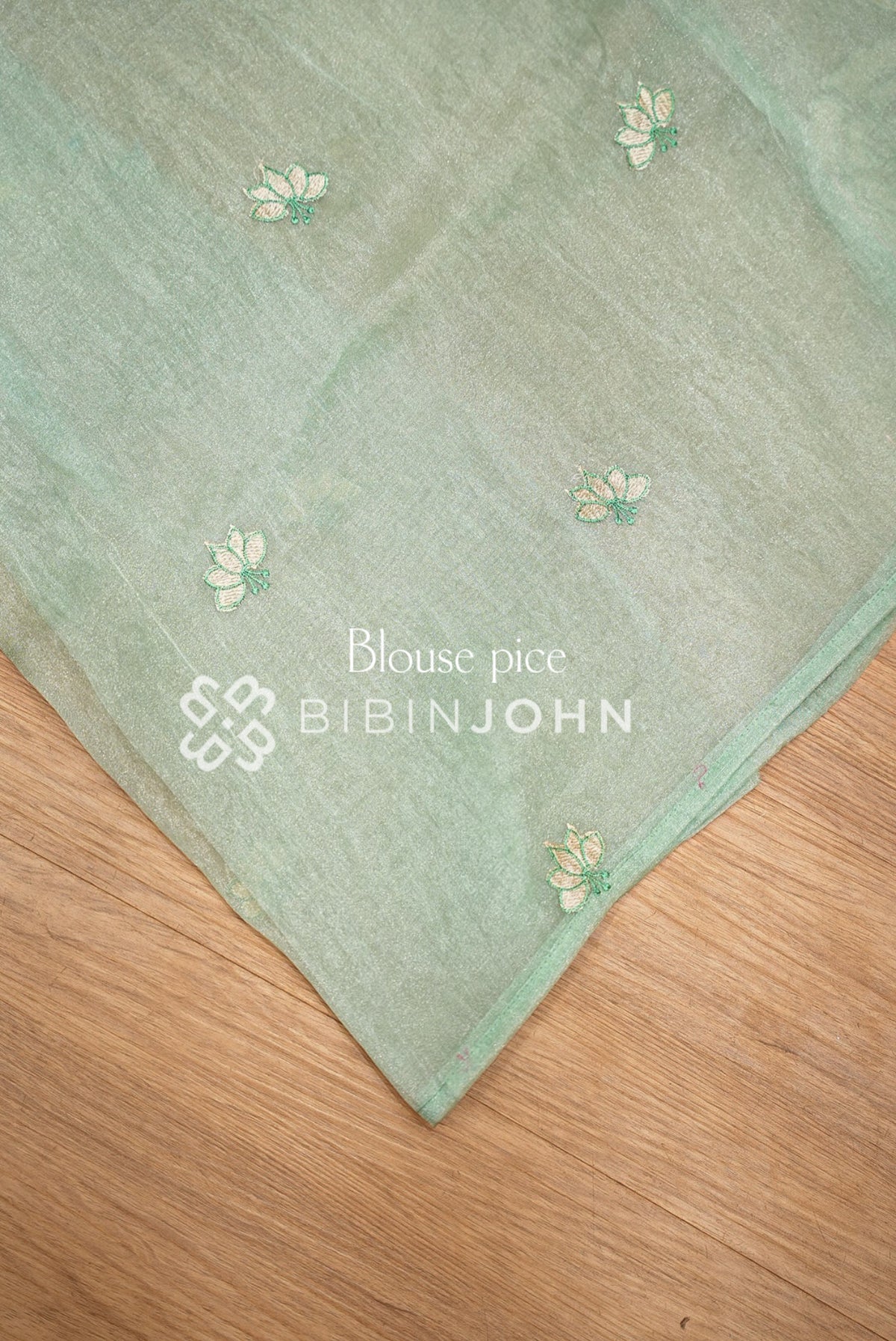 Tissue Organza Applique Saree For Women Mint Green BLOUSE PIECE