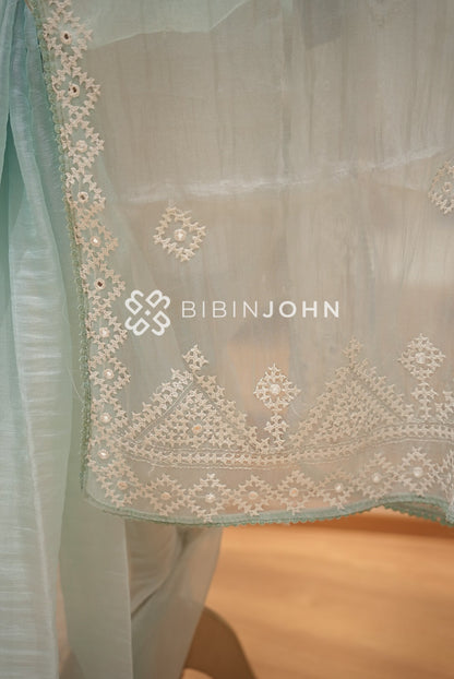 Tissue Organza Embroidery Saree For Women Ice Mint PALLU