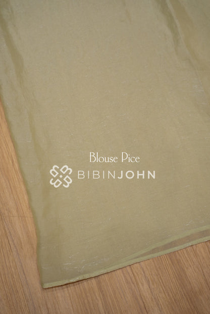 Tissue Organza Embroidery Saree For Women Pistachio Green BJ1641