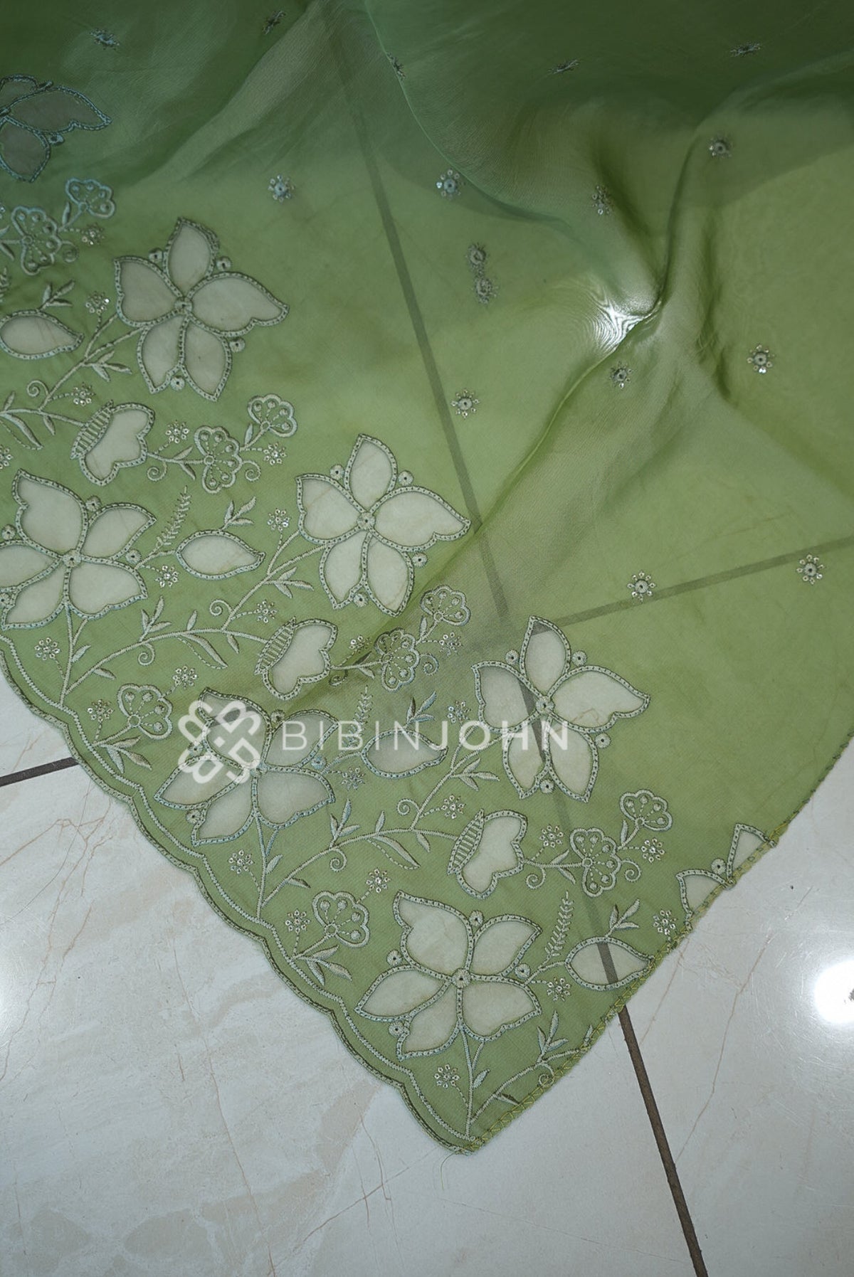 Organza Embroidery Dupatta For Women Pista Green BJ1732