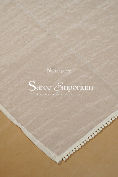 Tissue Embroidery Saree MDS0210