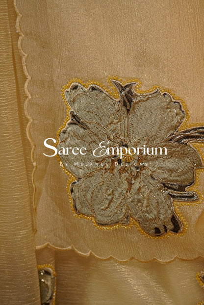 Tissue Applique Saree MDS0144