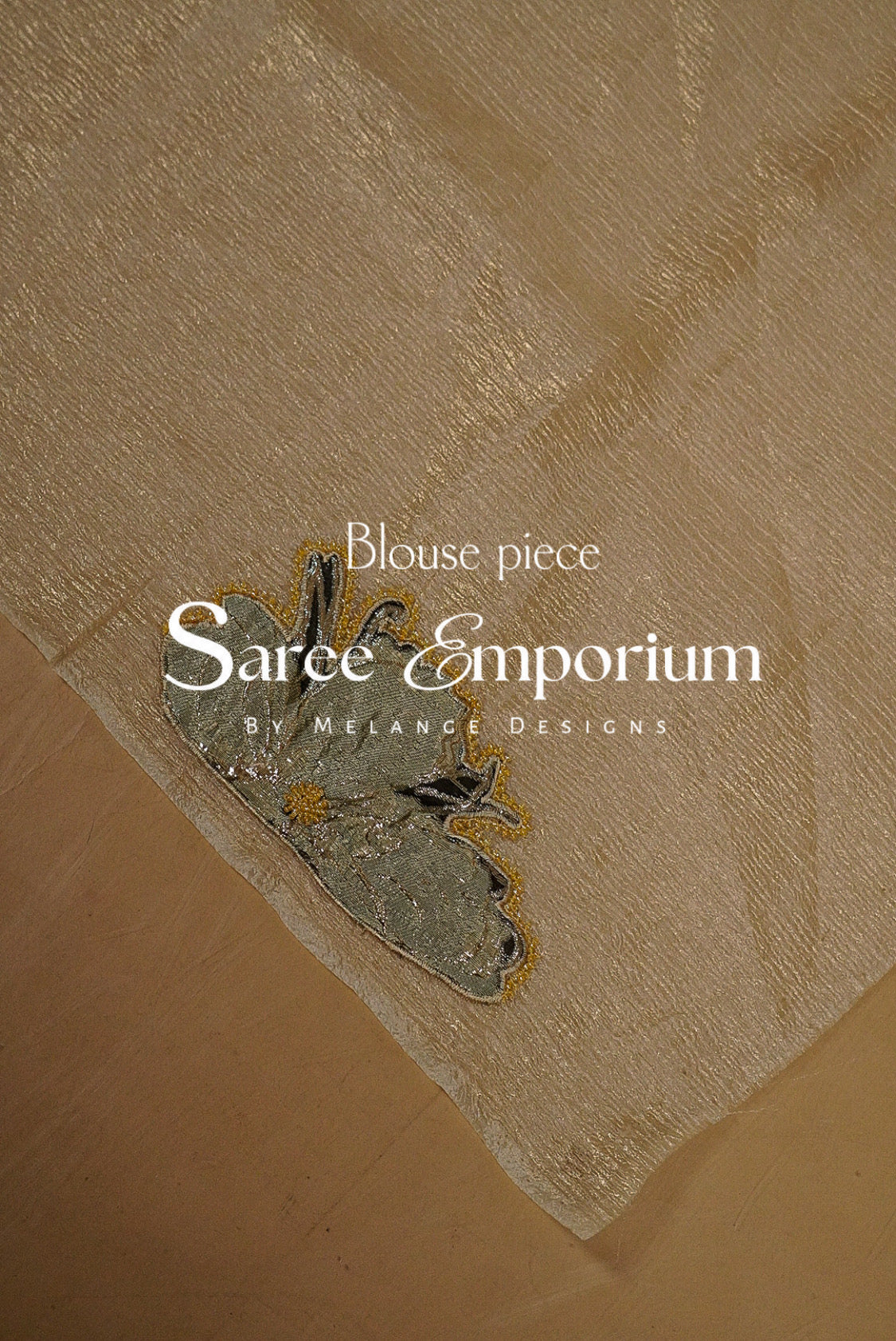 Tissue Applique Saree MDS0144