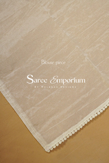 Tissue Embroidery Saree MDS0211