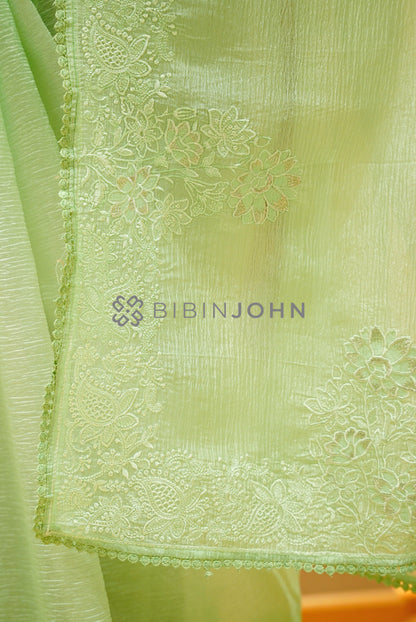 Tissue Organza Embroidery Saree For Women Pastel Mint Green  pallu