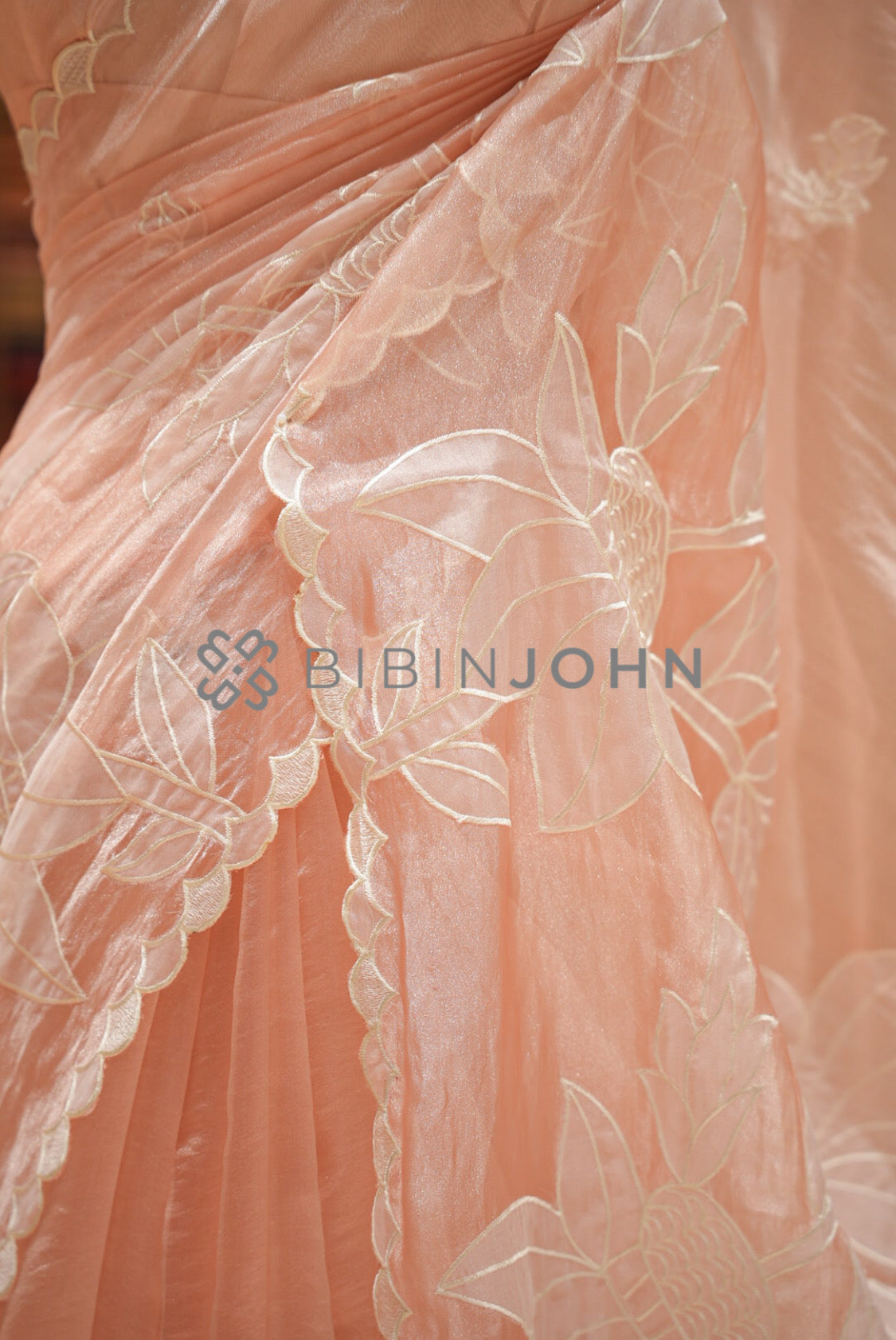Tissue Organza Applique Saree For Women Blush Peach side view