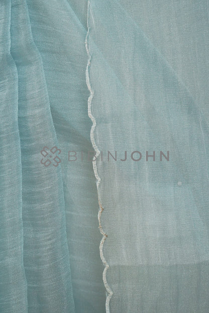 Organza Aplic Saree For Women Powder Blue  side view