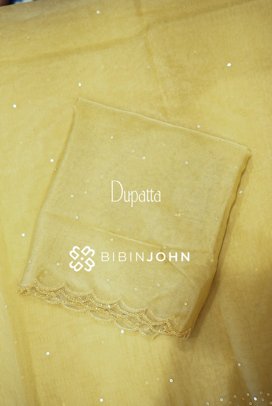 Organza Embroidery Unstitched Salwar Suit Material Golden Beige DUPATTA