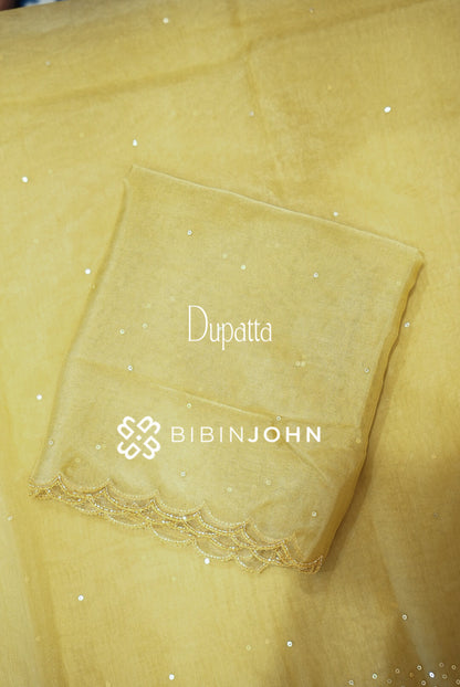 Organza Embroidery Unstitched Salwar Suit Material Golden Beige DUPATTA