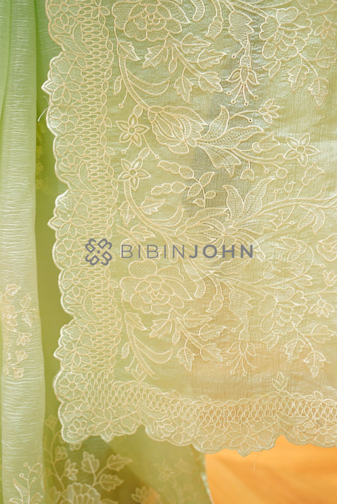 Tissue Organza Embroidery Saree For Women Pastel Pistachio Green PALLU