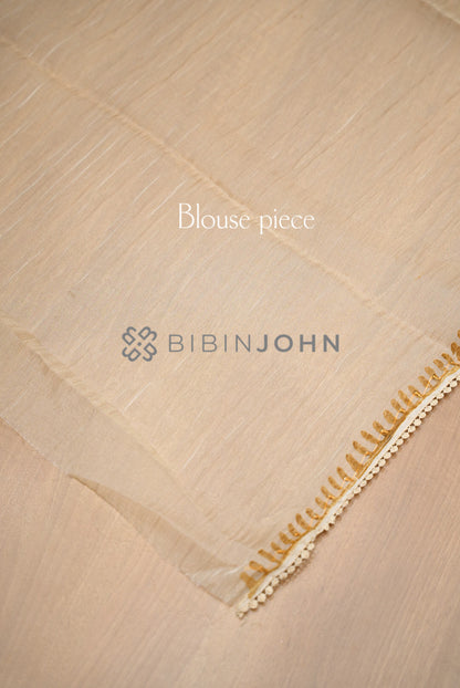 Tissue Organza Embroidery Saree For Women Ivory Cream blouse piece